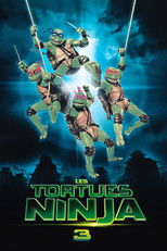 Les Tortues Ninja 3 : Retour au pays des samouraïs