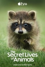 The Secret Lives of Animals poster image