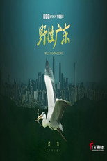 野性广东