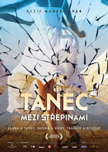 Tanec medzi crepinami (2012)