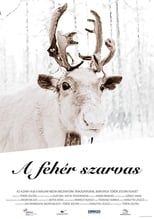 Poster for The White Reindeer