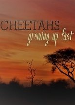 Poster for Cheetahs: Growing Up Fast