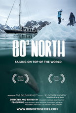 80° North poster
