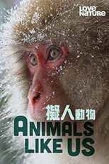 Straordinari Comportamenti Animali poster