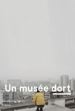 Un musée dort serie streaming