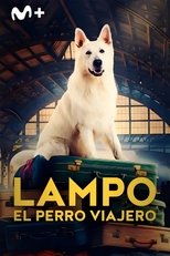 VER Lampo, el perro viajero (2023) Online Gratis HD