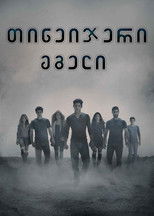 თინეიჯერი მგელი