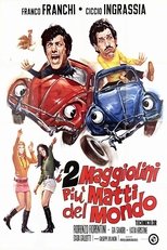 Poster for I due maggiolini più matti del mondo