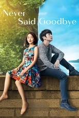 Poster for Never Said Goodbye