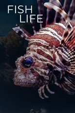 Watch Fish Life (2010)