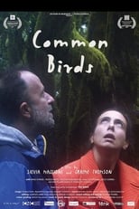 Poster for Common Birds 