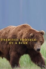 Poster for Unedited Footage of a Bear 