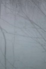 Winter Trees poster