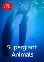 Poster for Supergiant Animals