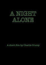 A Night Alone poster
