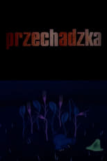 Poster di Przechadzka
