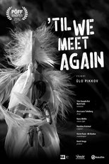 Poster for Till We Meet Again 