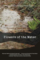 Flowers of the Water