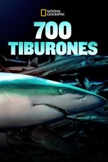 700 Requins dans la Nuit