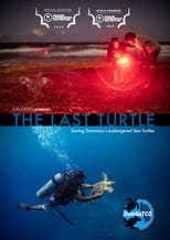 Poster for The Last Turtle 