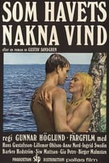 Poster for One Swedish Summer 