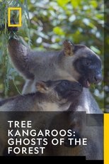 Tree Kangaroos: Ghosts of the Forest main poster