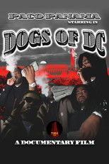 Dogs Of DC poster