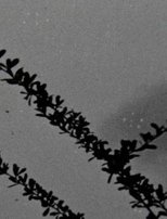 The things that stand the test of time