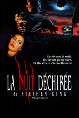 La Nuit déchirée serie streaming