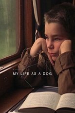 My Life as a Dog poster movie