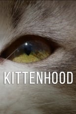 Poster for Kittenhood 