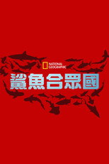 United Sharks of America