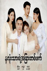 နှလုံးသားရဲ့အခြားတစ်ဖက် poster