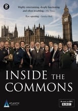 Poster for Inside the Commons