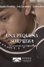 Poster for Una pequeña sorpresa 