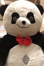 Andreza Giant Panda Andreza Giant Panda