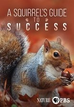 Poster for A Squirrel's Guide to Success