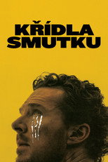 Křídla smutku