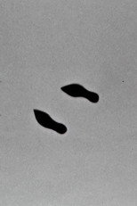 Cold Feet
