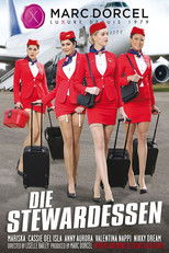 Dorcel Airlines: Die Stewardessen