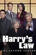 Poster for Harry's Law Season 2