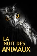 Poster for La Nuit des Animaux 