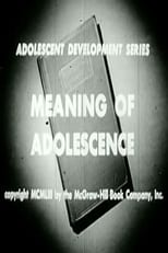 Poster for Meaning Of Adolescence