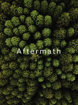 Aftermath