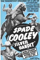 Poster for The Silver Bandit