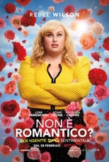 Poster di Non è romantico?