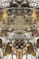 Rupture