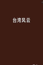 台湾风云 (2008) poster