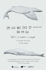 Dust is a Whale, is Sunlight poster