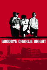 Poster for Goodbye Charlie Bright